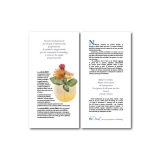Elixir-Catalogo-02