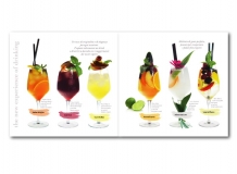 Elixir-Catalogo-03