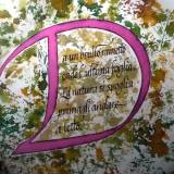 Deianira, Calligrafia, Cancelleresca
