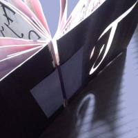 Deianira, Taccuino calligrafico