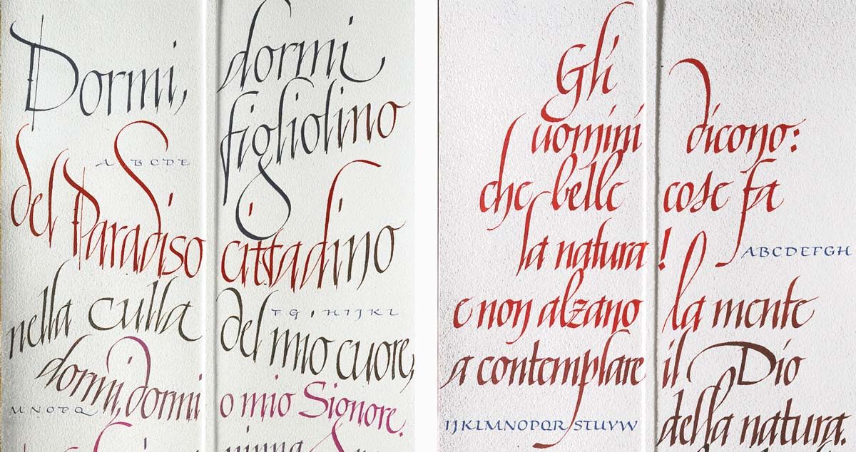 Calligrafia Corsivo Cancelleresca Italico Italics Deianira Anna Ornella Dell Acqua